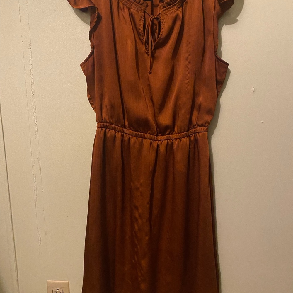 Elegant Brown Women's Dress